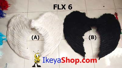 FLX 6  large2